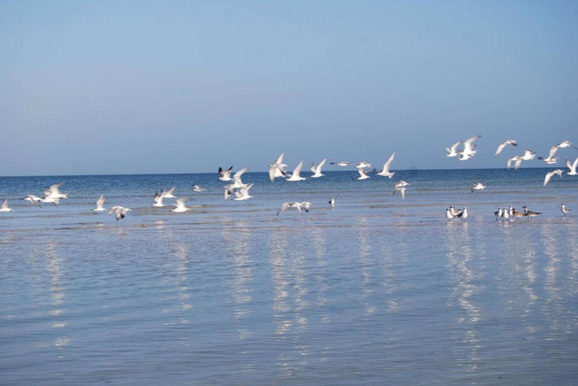 Golden Paradise Beach Hotel Isla Holbox Екстериор снимка